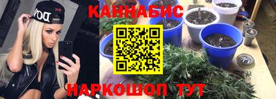 гидра Донецк